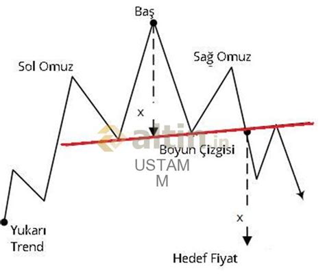 TOBO ve OBO - Altin.in