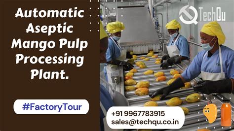 Mango Pulp Process 的图像结果