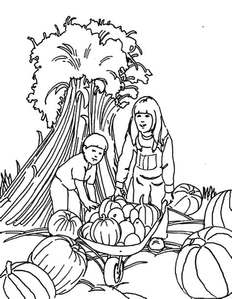 Fall Pumpkin Patch