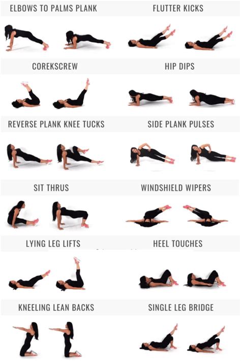 Core Stability Exercises 的图像结果