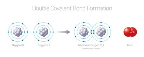 O2 Covalent Bond 的图像结果