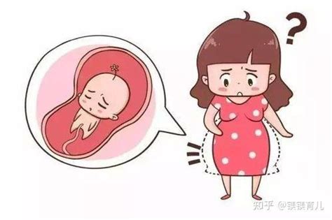 胎停育如何正确面对？ - 知乎