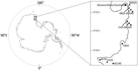 First Application of the AMBI Index to the Macrobenthic Soft-Bottom ...