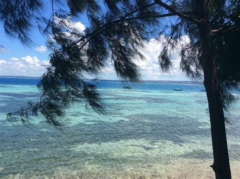 Prison Island - Changuu Private Island (Stone Town) - 2020 What to Know ...