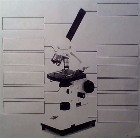 Microscope Side View 的图像结果