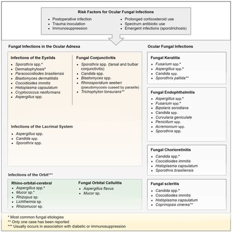 Ocular Fungal Infections