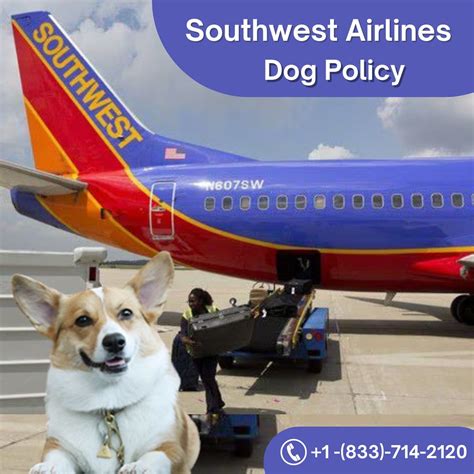 Southwest Airlines Dog Policy | Southwest Airlines' dog poli… | Flickr