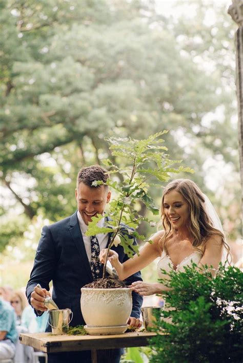 Image result for Unity Tree for Weddings