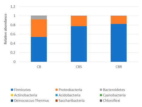 Insights into the Microbiological Safety of Wooden Cutting Boards Used ...