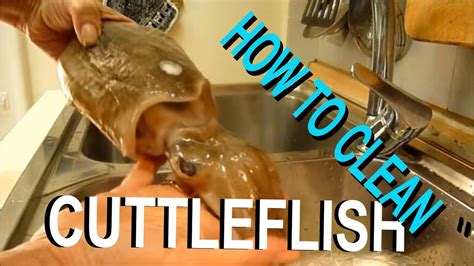 Image result for How to Clean Cuttlebug