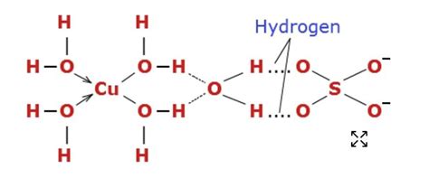 Plzexpalin this....\n\n\nonded to forma square planar complex ion, [cu ...