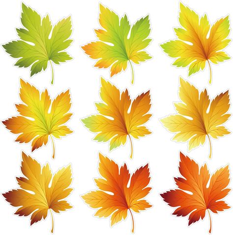 Amazon.com: 200 Pcs Maple Leaves Cutouts Fall Paper Leaf Cutouts ...