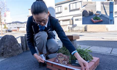 Honey, I shrunk the recreation area! The world's smallest park is the ...