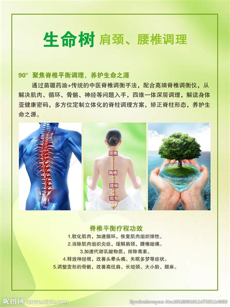 脊椎养护设计图__海报设计_广告设计_设计图库_昵图网nipic.com