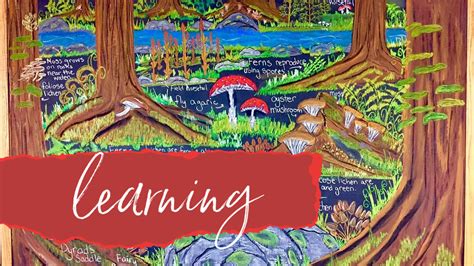 Image result for First Time Learning Essential