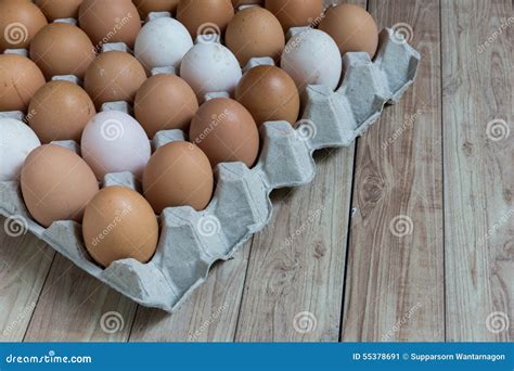 Homogeneous Concept : Different Kinds of Eggs Stay Together Stock Image ...
