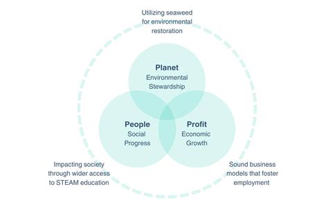 Triple Bottom Line 的图像结果