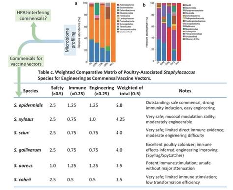 Microbiome–Immune Interaction and Harnessing for Next-Generation ...