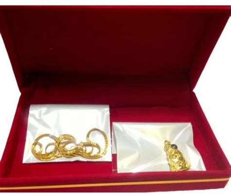 Buy Earth Ro System Shree Hanuman Chalisa Yantra Locket / pendant with ...