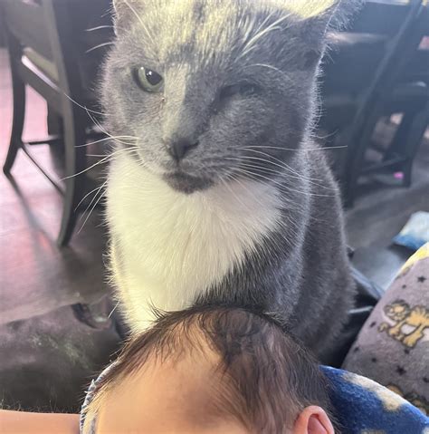 Her meeting the new family member. (She herself was raised by me, the moment she was born, so ...
