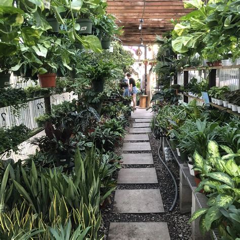 Best Plant Shops In Los Angeles — Jacqueline Weiss