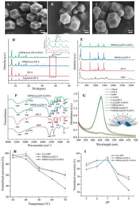 Zeolitic Imidazolate Framework-8 Composite-Based Enzyme-Linked Aptamer ...