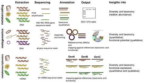 Concepts towards Functional Eukaryotic Microbial Biogeography in the Ocean