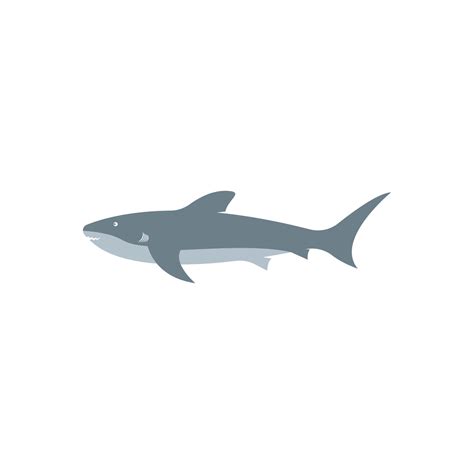 Shark Vector Logo CD-R File 的图像结果