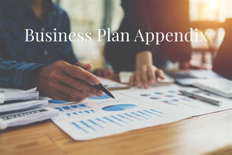 Appendix Business Plan Sample 的图像结果