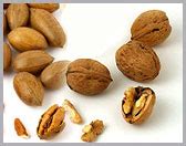 LIVE ACTIVE | A to Z Encyclopedia | H