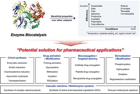 Multidisciplinary approaches for enzyme biocatalysis in pharmaceuticals ...