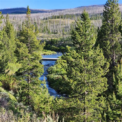 TRIANGLE C RANCH (Dubois, Wyoming) - Ranch Reviews & Photos - Tripadvisor