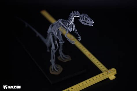 アロサウルス 縮小全身骨格レプリカ Allosaurus, miniature whole body skeleton replica ...