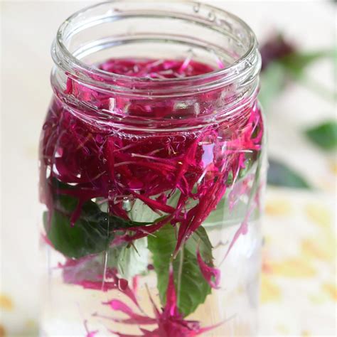 How to Make Bee Balm Tea • The View from Great Island