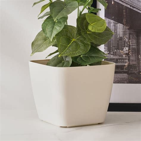 Buy Pots And Planters Online At Low Prices In India - Home Centre