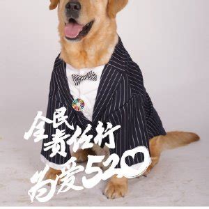 电视剧《神犬小七第二季》演员表及主要角色介绍 - 热剧剧情 - 冠华居