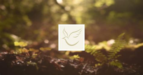 Obituary | Melinda Dawn Williams Wakeham of Cuba, Alabama | Bumpers ...