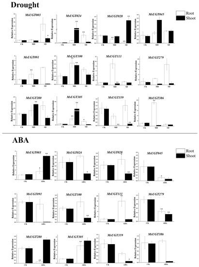 Genome-Wide Analysis and Profile of UDP-Glycosyltransferases Family in ...