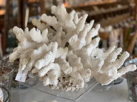 Image result for Shell World