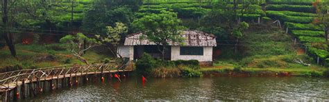 Idukki Tours and Packages: Best Time To Visit | Indianpanorma