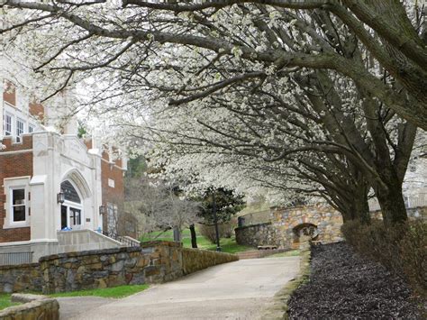Football Field 的图像结果
