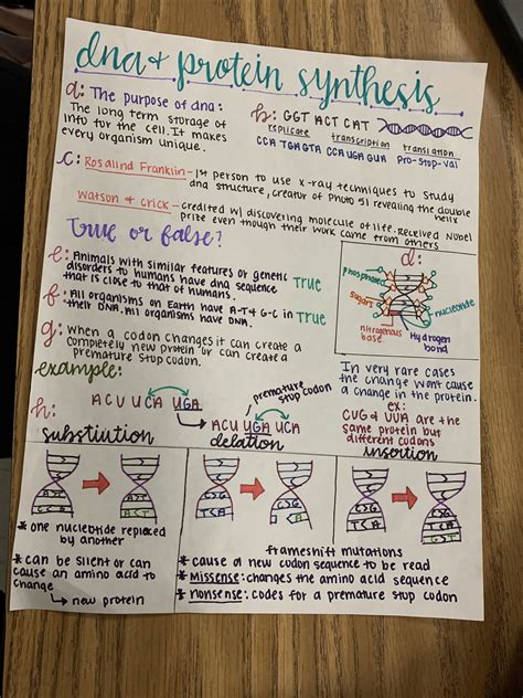 Image result for Protein Synthesis Review Worksheet