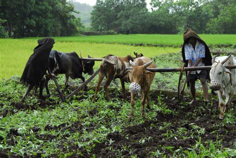 Image result for Farming Simulator 19 Mods.com