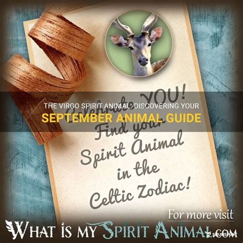 The Virgo Spirit Animal: Discovering Your September Animal Guide ...