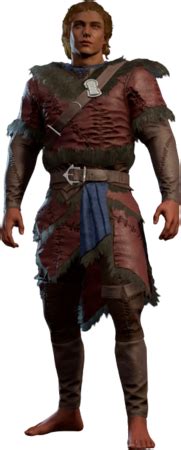 Hedge Wanderer Armour - bg3.wiki