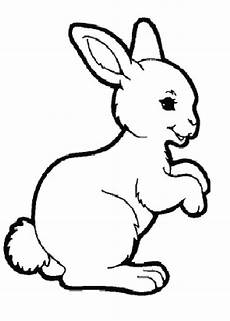 ausmalbilder tiere hase ausmalbilder hase 11 ausmalbilder tiere ausmalbilder tiere hase ausmalbilder hase 11 ausmalbilder tiere