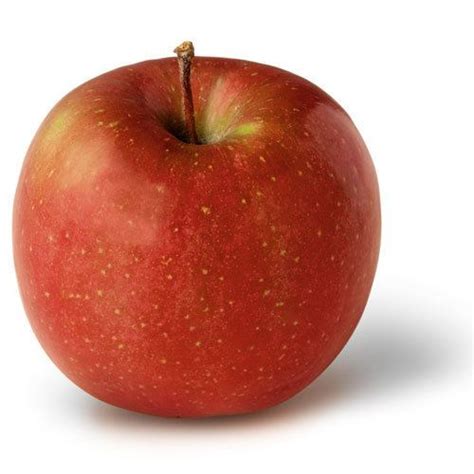 Image result for Apple Basic Programming Example