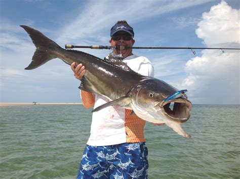 North Carolina Cobia and Grouper Seasons Reopen May 1 - PointClickFish.com