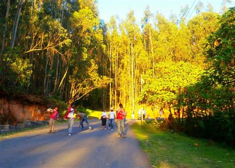 Addis Ababa Tourism (2023): Best of Addis Ababa, Ethiopia - Tripadvisor