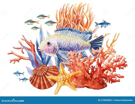 Shell 的图像结果